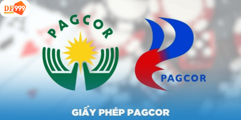 Chứng nhận pagcor