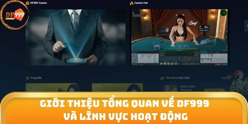 Giới thiệu tổng quan về DF999 và lĩnh vực hoạt động